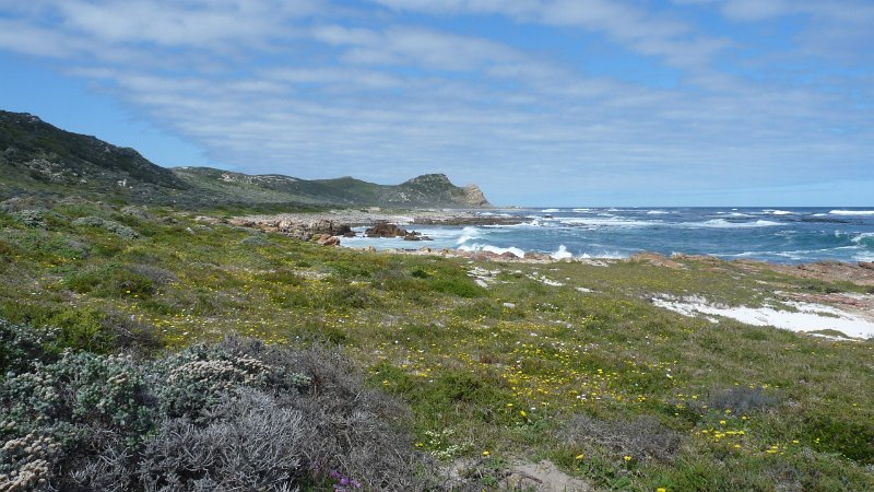 (34) The Cape of Good Hope.JPG